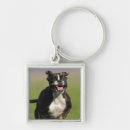 Search for exciting key rings Humour