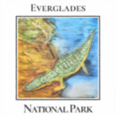 Search for florida alligator stickers Swamp