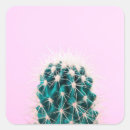 Search for desert plant stickers Pink