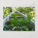 Search for apple picking postcards Apples