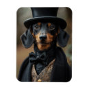 Search for victorian magnets Whimsical