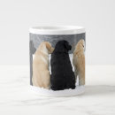Search for snow mugs Pet