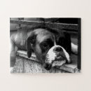 Search for boxer dog puzzles Canine
