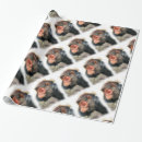 Search for spider monkey Primate