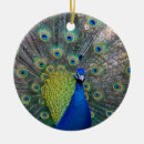 Search for peacock christmas tree decorations Feathers