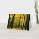 Search for bended cards Forest