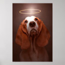 Search for angel halo posters Dog