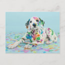 Search for ohio photography Puppy