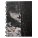 Search for teen boy notebooks Girl