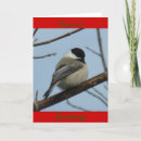 Search for chickadee cards Black capped chickadee