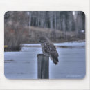 Search for fence post Wildlife