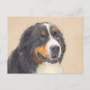 Search for mountain dog postcards Puppy