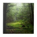 Search for forest tiles Woods