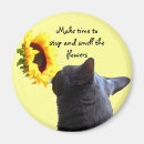 Search for times magnets Motivational