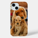 Search for labrador retriever dog iphone cases Labradors