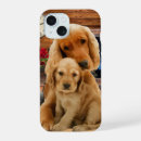 Search for labrador iphone cases Cute