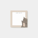 Search for sleeping cat Kitten