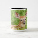 Search for white tail deer mugs Fawn