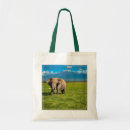 Search for conservation parks accessories Mt kilimanjaro