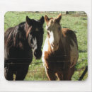 Search for horse mousepads Photography