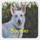 Search for alsatian german shepherd dog stickers Canine