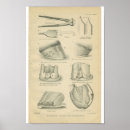 Search for horse anatomy posters Equine