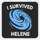 Search for i survived stickers Hurricane