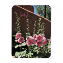 Search for new mexico magnets Travel