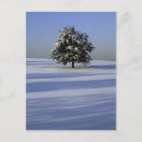 Search for tree landscape postcards Scenic