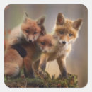 Search for foxy stickers Wildlife