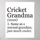 Search for cricket sport posters Batsman