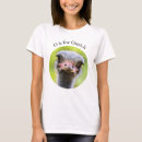 Search for ostrich clothing Wildlife