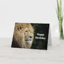Search for lion birthday cards Wildlife