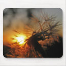 Search for macro mousepads Dandelion
