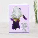 Search for purple mothers day cards Flower