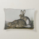 Search for hare cushions Bunny