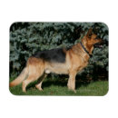 Search for deutscher magnets Bob and pam langrish