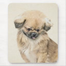Search for the pekingese electronics Puppy