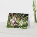 Search for merry christmas cards Winter