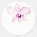 Search for purple orchid stickers Tropical