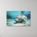 Search for west canvas prints Animals