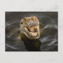 Search for crocodile postcards Africa