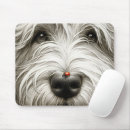 Search for up close and electronics Pet