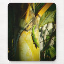 Search for gecko mousepads Nature