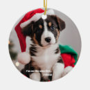 Search for funny family christmas tree decorations Dog
