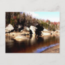 Search for river rocks postcards Nature