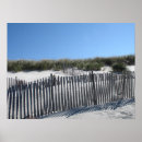 Search for cape cod beaches Dune