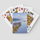 Search for summer playing cards Outdoor