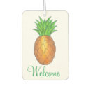 Search for pineapple car air fresheners Tropical