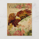 Search for vintage french postcards Carte postale